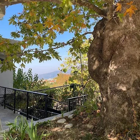 Pelion 펜션 Neochori (Magnesia)